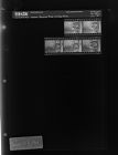Buying 1966 License plate (5 Negatives), January 10-12, 1966 [Sleeve 18, Folder a, Box 39]